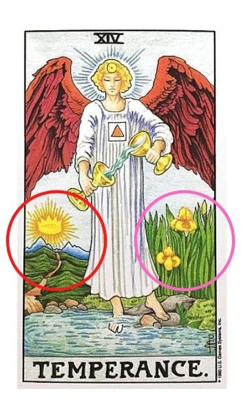【節制】アイリスの花と太陽に続く道