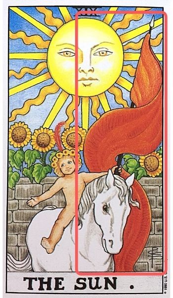 タロット 19太陽 The Sun ザ サン 絵柄 象徴の解説 ぱしょふる