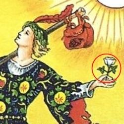 0愚者 左手に持つ白い花