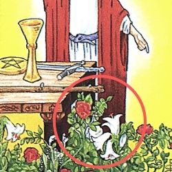 1魔術師 ザ・マジシャン 赤の薔薇と白の百合 タロット