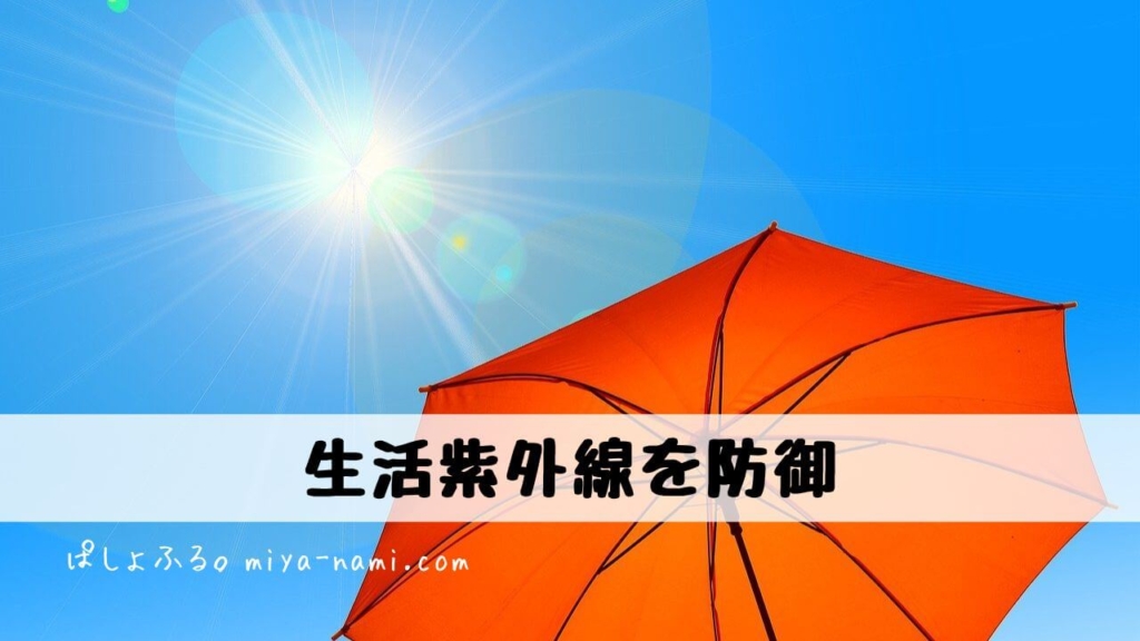 太陽と日傘