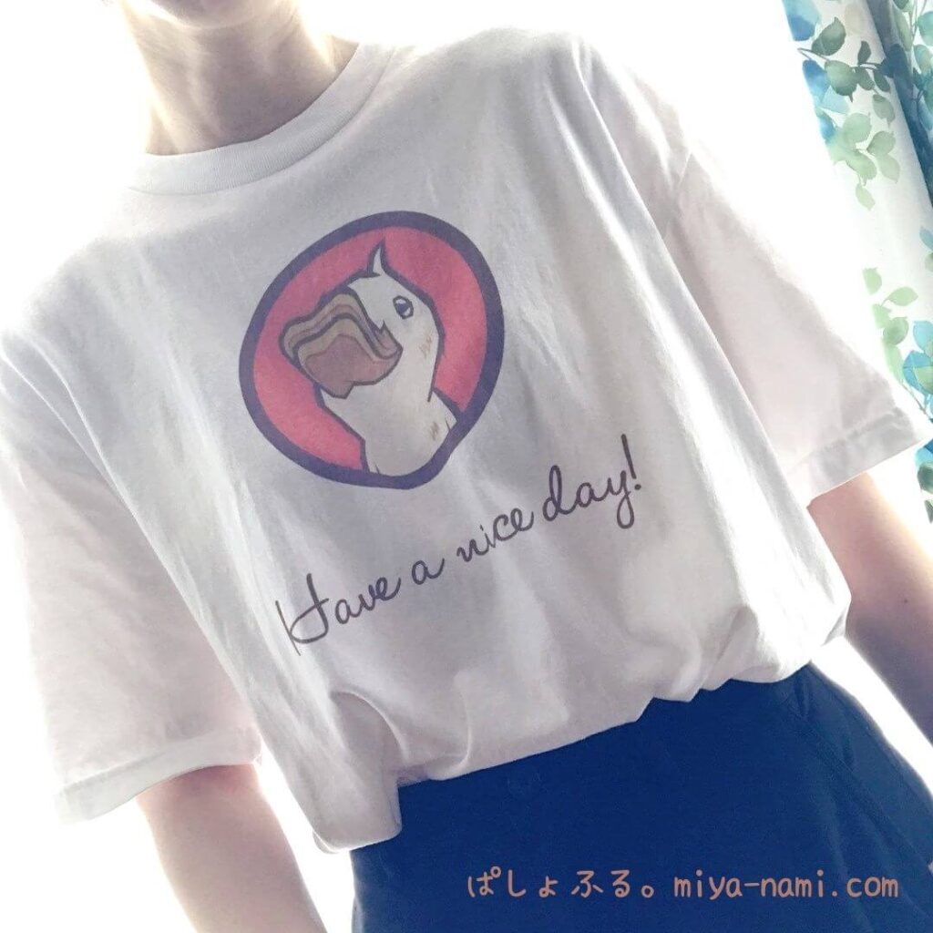 着画モデルみやなみ