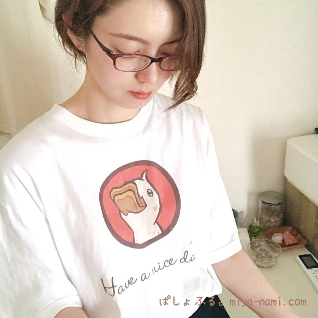 スリダクちゃん Tシャツ　Mサイズ