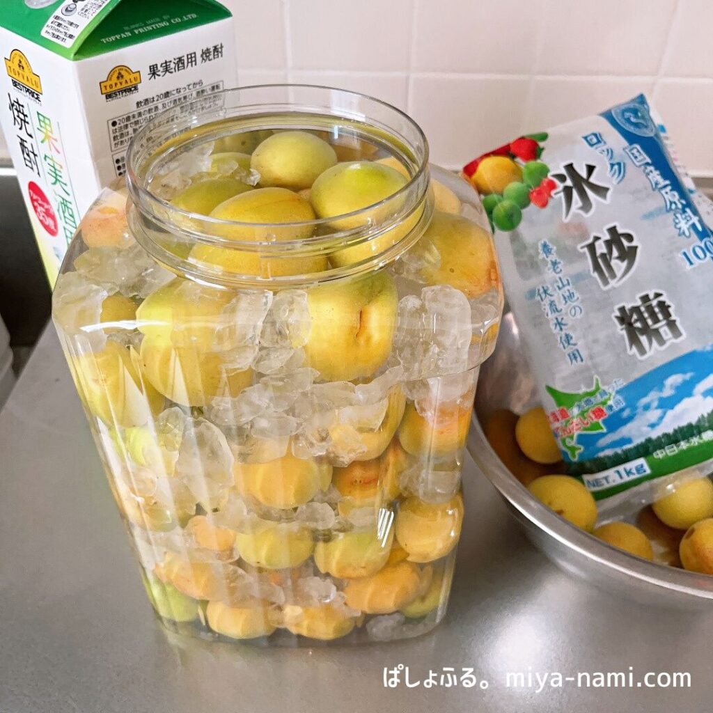 梅1kg→2kgに増やした瓶